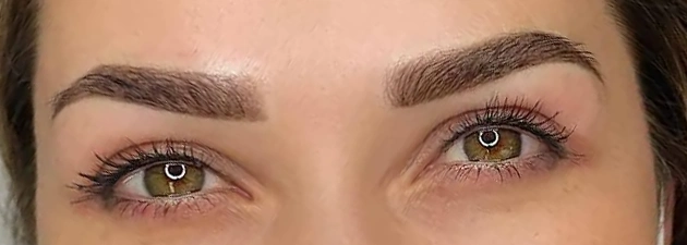 Ombre Brows