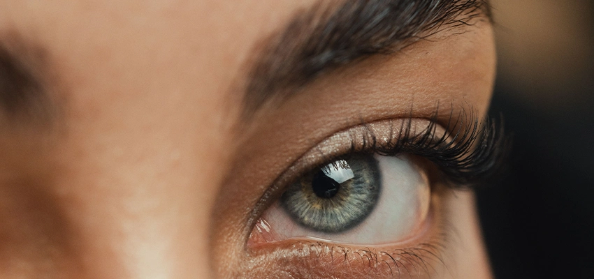 Lash- & Browlifting